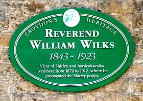 Reverend William Wilks