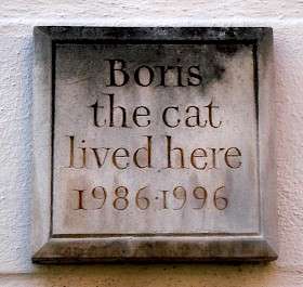 Boris the Cat