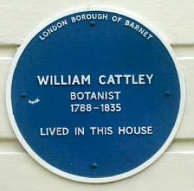 William Cattley