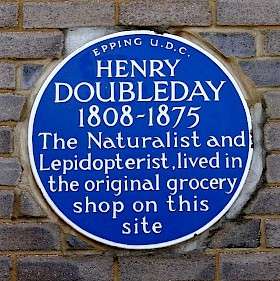 Henry Doubleday